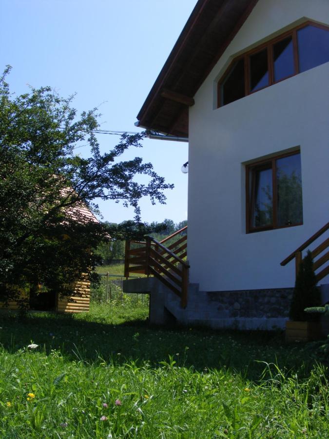 Hotel Casa Lacul Mierlei à Sovata Extérieur photo