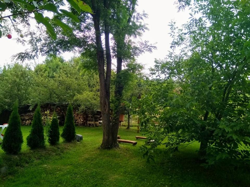 Hotel Casa Lacul Mierlei à Sovata Extérieur photo