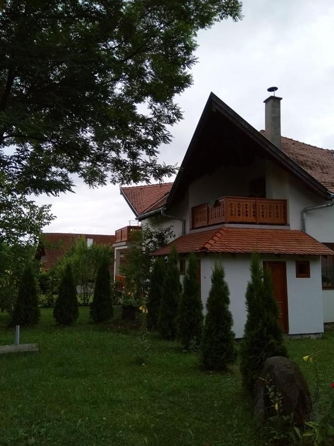 Hotel Casa Lacul Mierlei à Sovata Extérieur photo