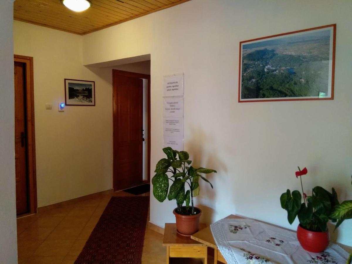 Hotel Casa Lacul Mierlei à Sovata Extérieur photo